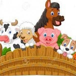 DESCUBRIENDO LOS ANIMALES DE LA GRANJA