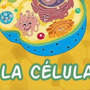 JUGUEMOS CON LA CÉLULA
