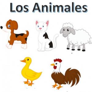 Memorice de Animales