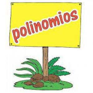 Imagen de portada del videojuego educativo: Suma y multiplicación de polinomios, de la temática Matemáticas
