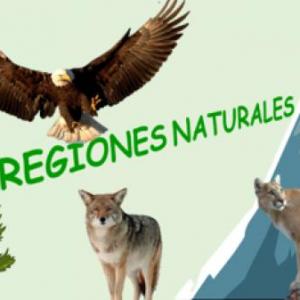 REGIONES NATURALES 