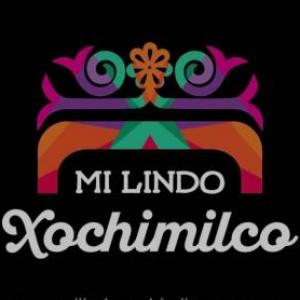 Portada del juego Descubre Xochimilco – Cultura general