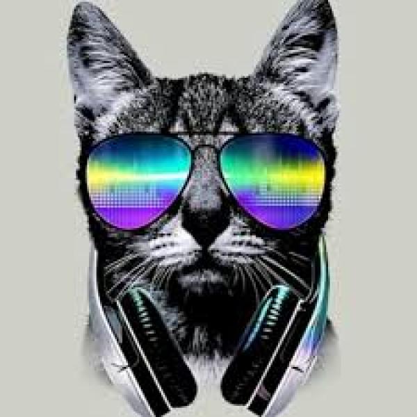 maria isabella thecatking2023
