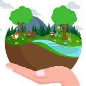 CONOCEMOS Y CUIDAMOS NUESTRO AMBIENTE