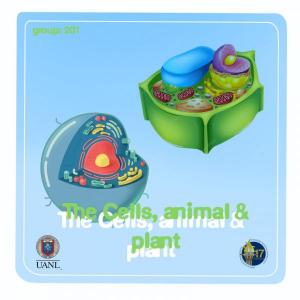 The Cells, animal & plant.