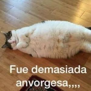 Examen