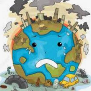 Inclusión en el área ambiental 