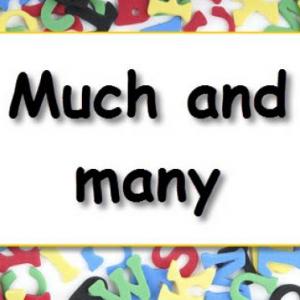 Imagen de portada del videojuego educativo: MANY // MUCH , de la temática Lengua