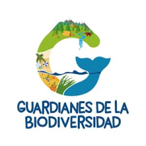 Adivina el tema de nuestro proyecto
