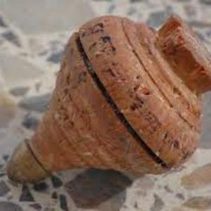 el trompo (ton ton)
