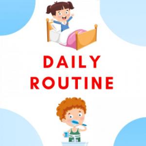 Daily Routine