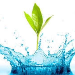 EL AGUA TESORO NATURAL DE NUESTRO PLANETA