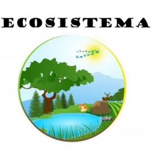 "Relación en los ecosistemas"