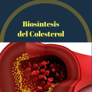 Biosintesis del Colesterol