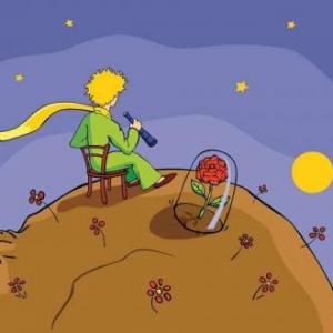 CONOCE AL PRINCIPITO