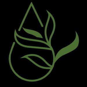 ¡Adivina el nombre de está planta!