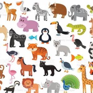 ANIMALS