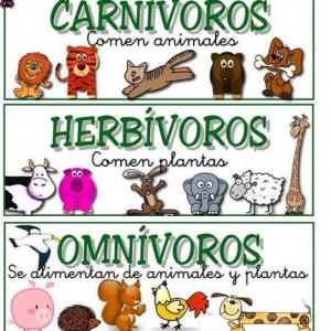 Animales según su alimentación