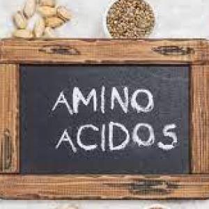 Los aminoácidos