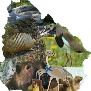 ANIMALES NATIVOS