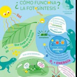 Fotounión