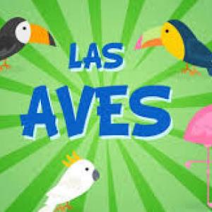 LOS ANIMALES Y SU VARIEDAD