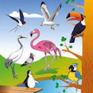 LOS ANIMALES Y SU VARIEDAD