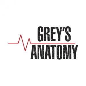 ¿Cuánto sabes de Grey´s?