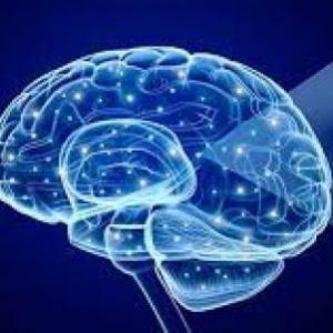 Portada del juego NEUROTRASMISORES – Cultura general