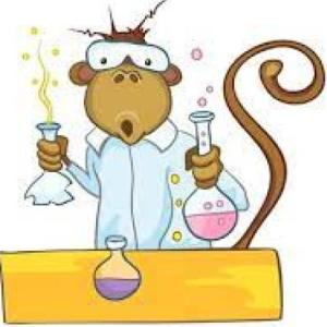 QUE SABES DE BIOMOLECULAS
