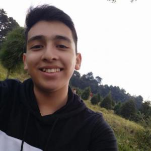 Diversidad de la colaboracion