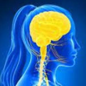 Sistema neuroendocrino