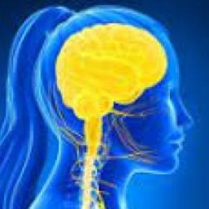 Sistema neuroendocrino