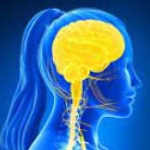 Sistema neuroendocrino