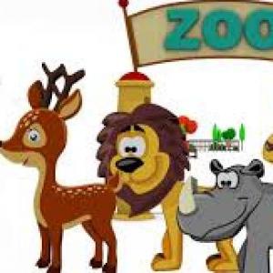 Animals