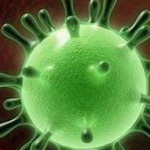 virus