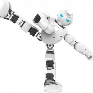 Jugando con los robots