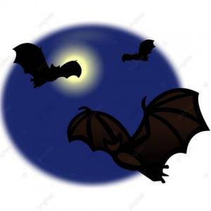 ¿QUÉ TANTO CONOCES DE LOS MURCIELAGOS?