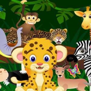 ANIMALES SALVAJES
