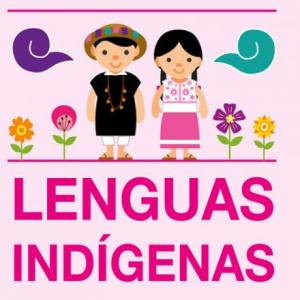 Imagen de portada del videojuego educativo: Memorama de palabras indígenas, de la temática Lengua