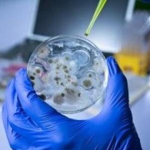 Trivia de Bioterrorismo