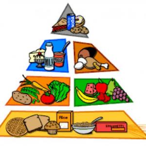 Imagen de portada del videojuego educativo: Conocemos el origen de los alimentos, de la temática Alimentación