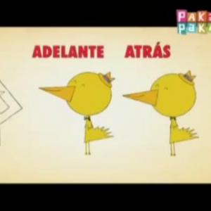 ADELANTE Y ATRÁS
