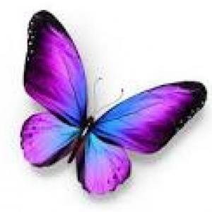 LA OCA MARIPOSA