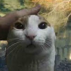 LOL