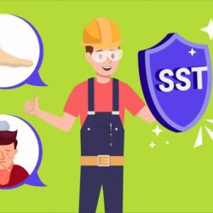 Conoce tu SG-SST