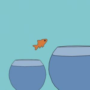Aprendiendo a ser resiliente.
