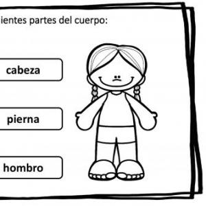 partes de cuerpo humano