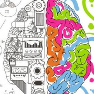 HISTORIA DEL APRENDIZAJE Y MEMORIA