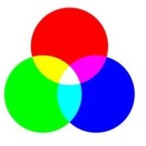 ENCUENTRA LOS COLORES